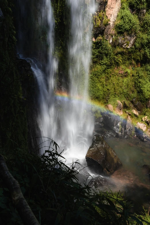 rainbow in a waterfall, green trees and clear water