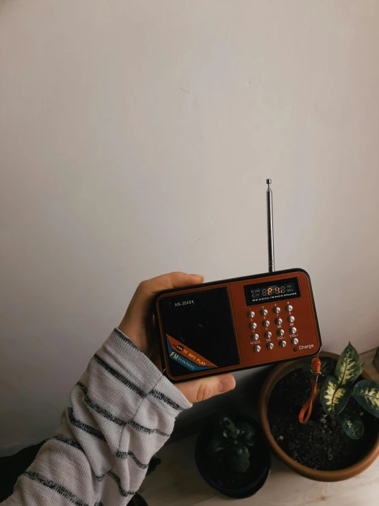 the remote control is held near two houseplants and potted cacti