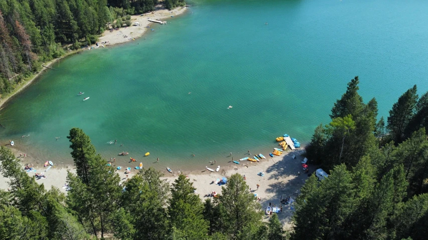 people and boats in a lake surrounded by pine trees