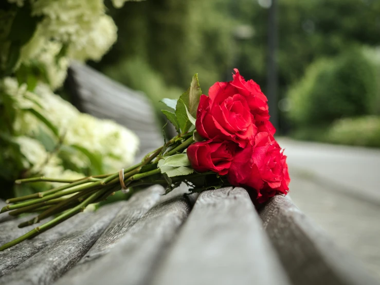 a single red rose sits on the bench