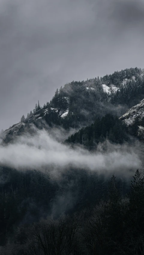 mist rises on the slopes of a mountain top