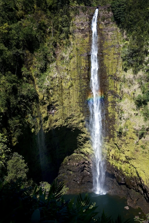 a waterfall is surrounded by green trees in this aerial view