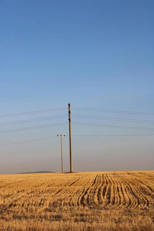 a field with many telephone poles in it