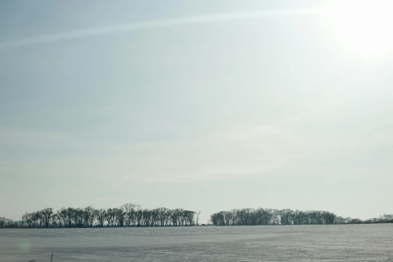 a snowy field with several bare trees