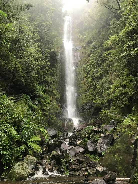 a waterfall in a forest near a rocky river