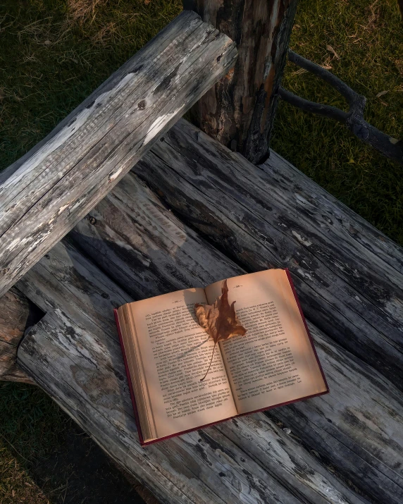 an open book is on the ground next to some sticks