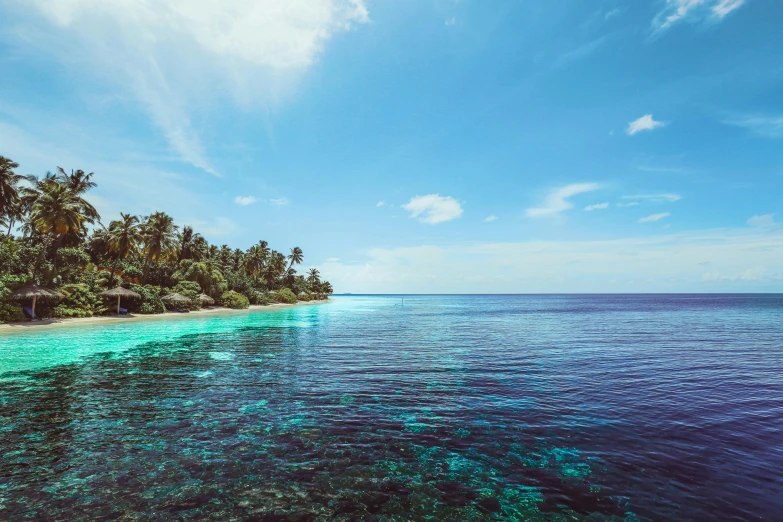 a tropical island that is surrounded by palm trees