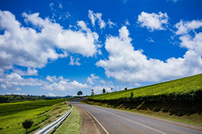 a road going through a lush green field