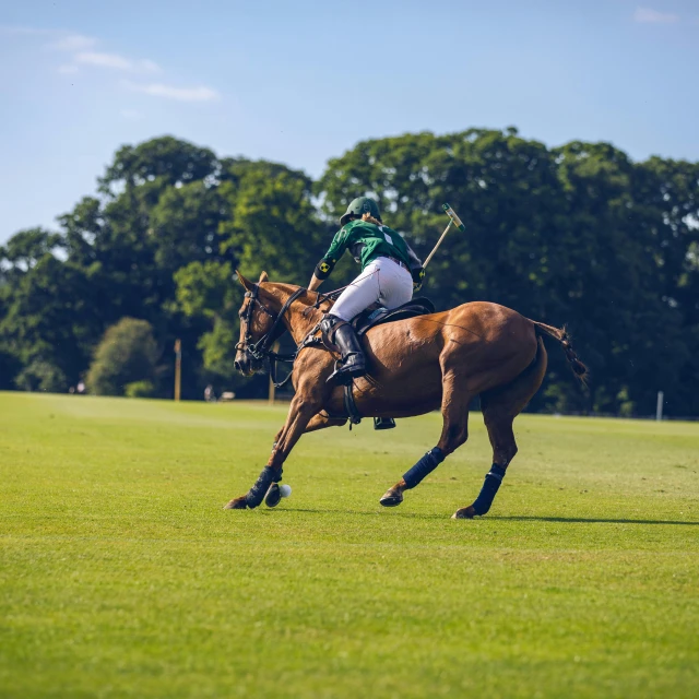 a person riding a horse on a field