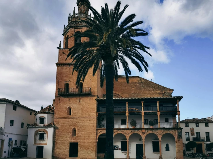 the tall tower with a clock has a palm tree in front of it