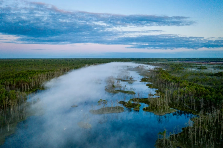 a lake filled with water surrounded by a forest