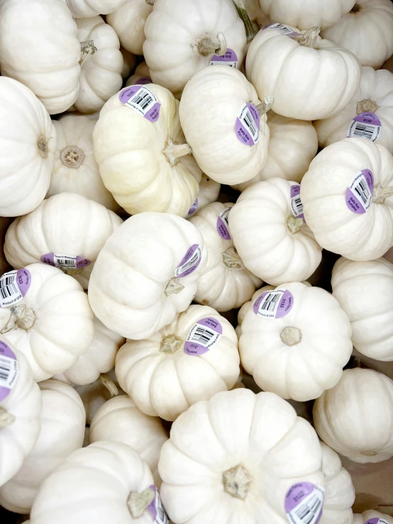 white garlic ready to be sale in an outdoor market