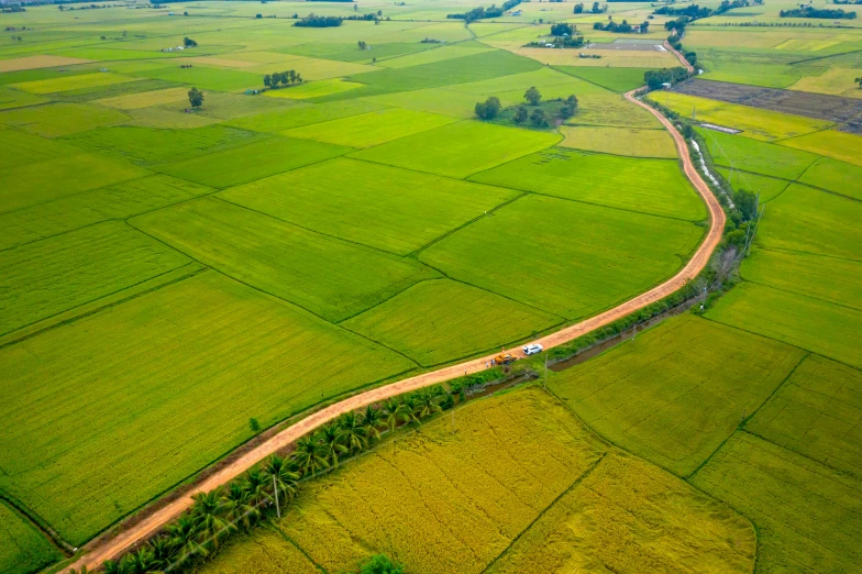 an aerial view of a winding country road near fields