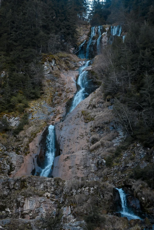 a stream of water with mossy rocks in the foreground and pine trees on the far side