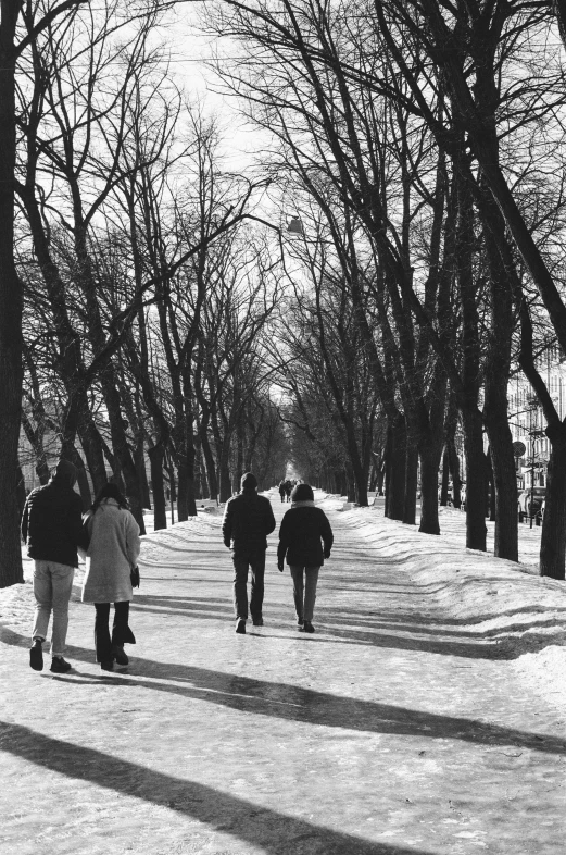 four people walking down a snowy road lined with trees