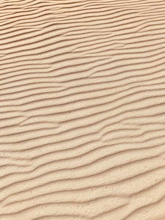 a sandy area that looks like it is in the desert