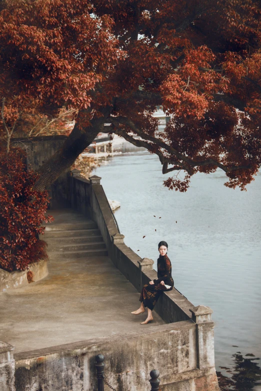 woman sitting under a tree on a ledge near water