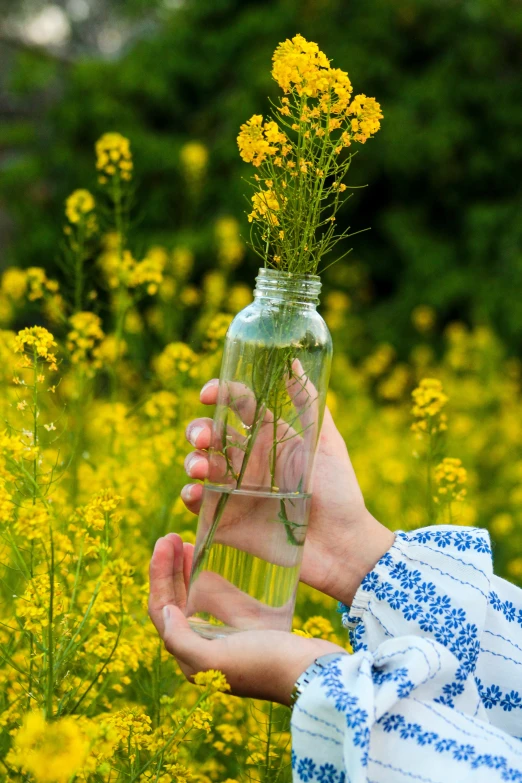 a person is holding a vase full of yellow flowers
