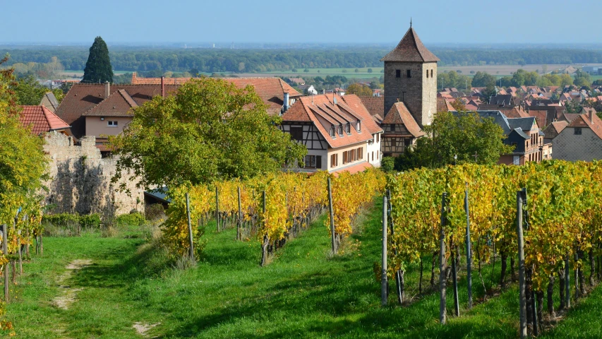 a view of a small village and tree lined town