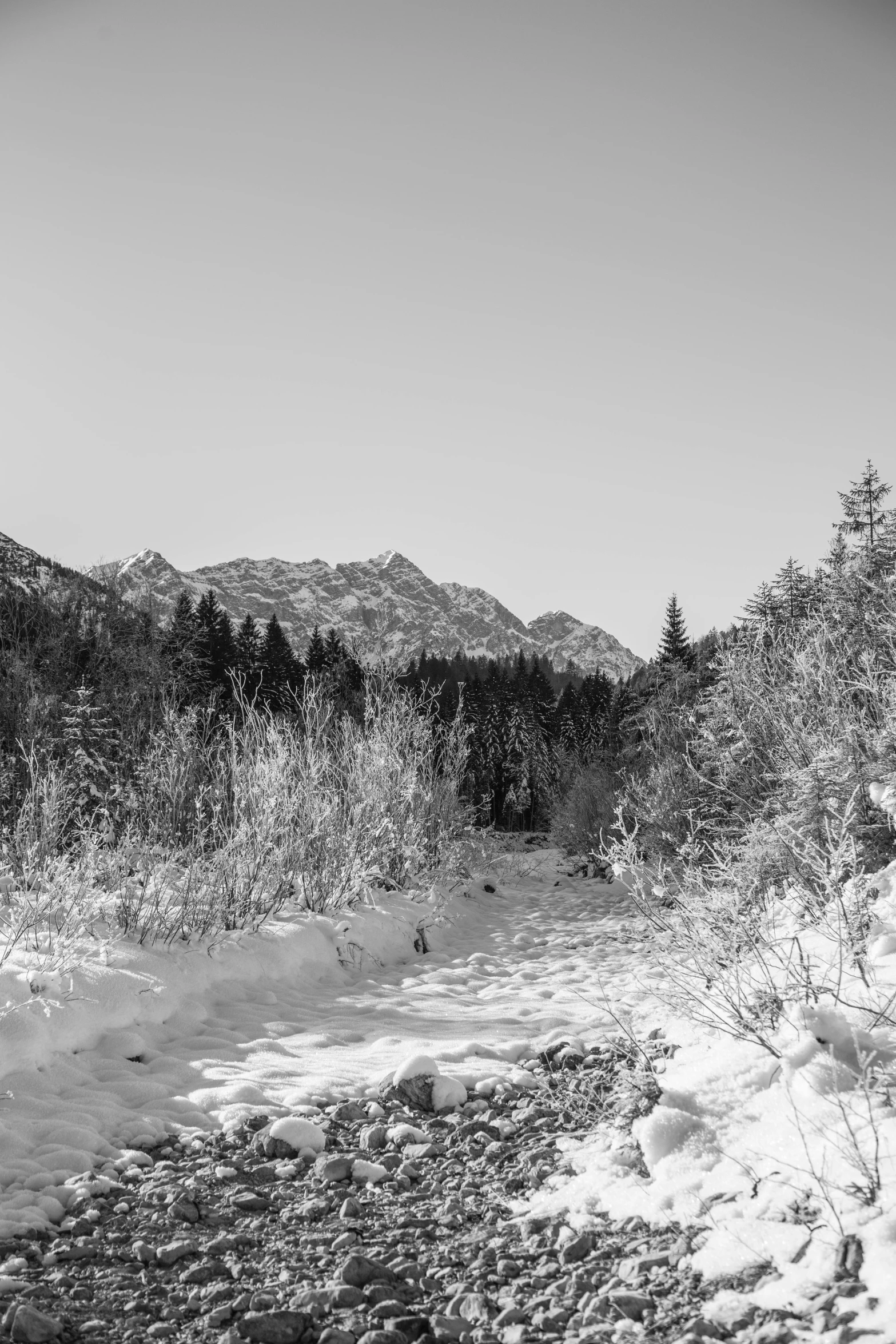 a black and white image of the snowy side of a mountain