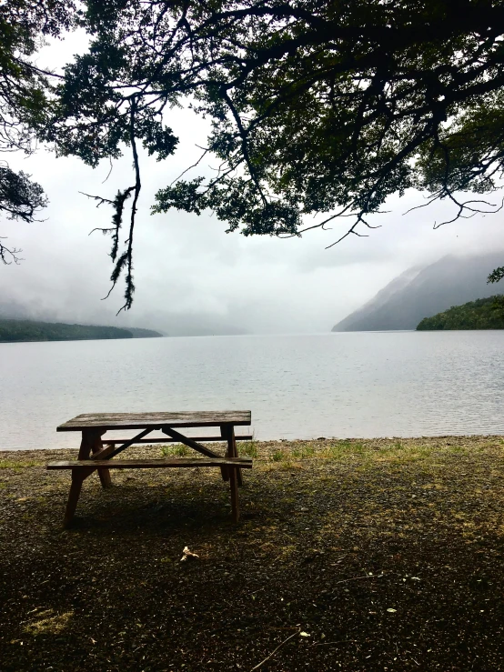 a bench that is out in the grass