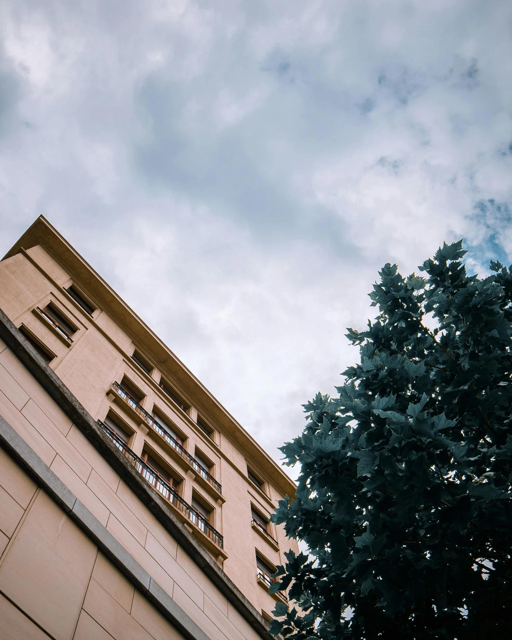 a building that is next to a tree and sky