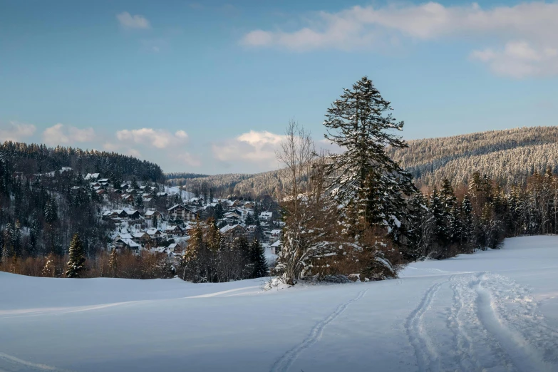 the snow covered road goes down to the trees