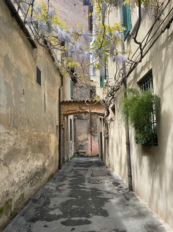 there is an archway with flowers on the street