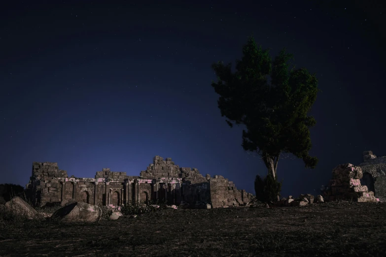 a dark, creepy landscape at night has trees and rocks