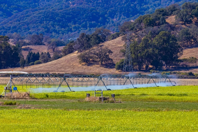 the land is empty and green as well