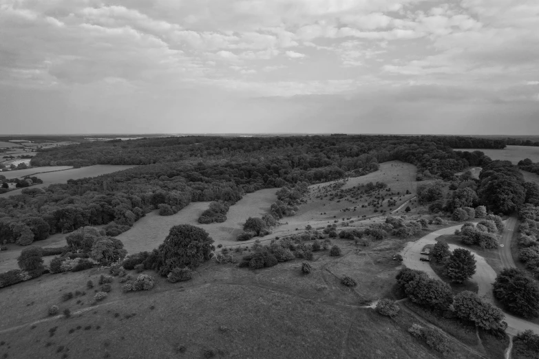 a black and white po of a landscape