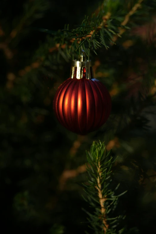 an ornament hanging on a christmas tree nch