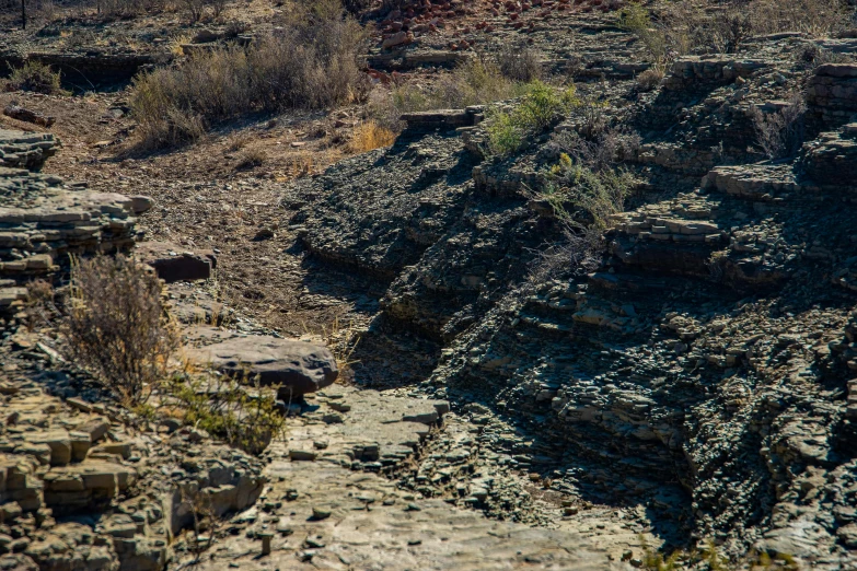 a small hill side with rocks and plants