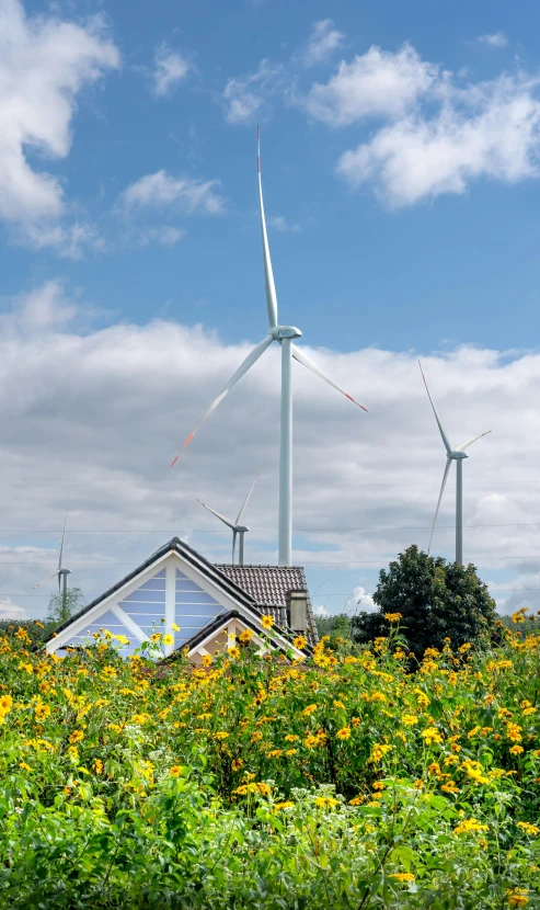 windmills and windmill house in wildflower garden