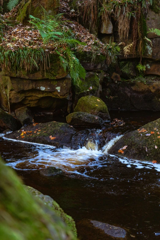 a stream flows through the mossy rocks