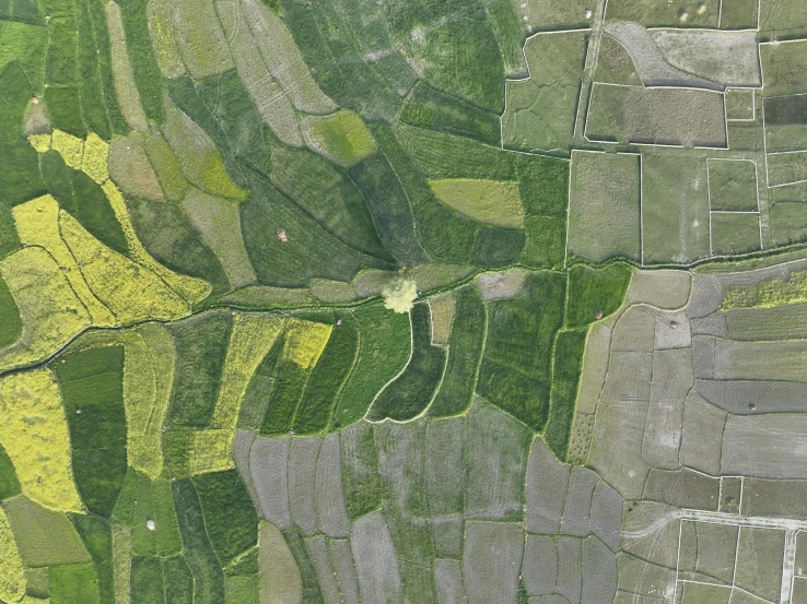 aerial view of grassy area in rural region