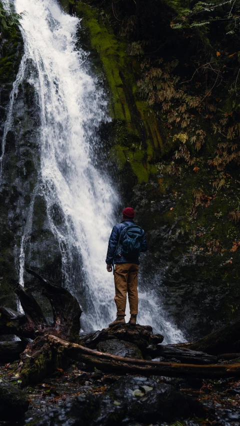 a man looking at a waterfall in the forest