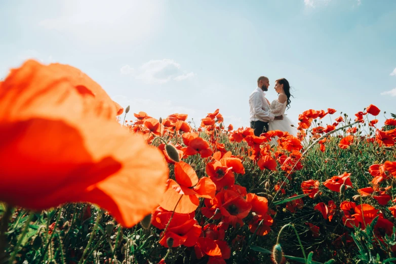 the couple is standing in an orange flower meadow