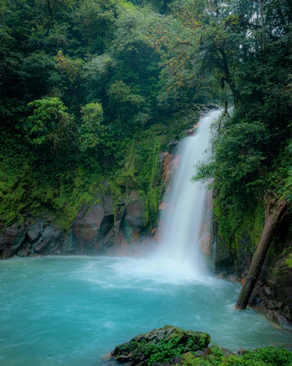 there is a small waterfall and a small body of water