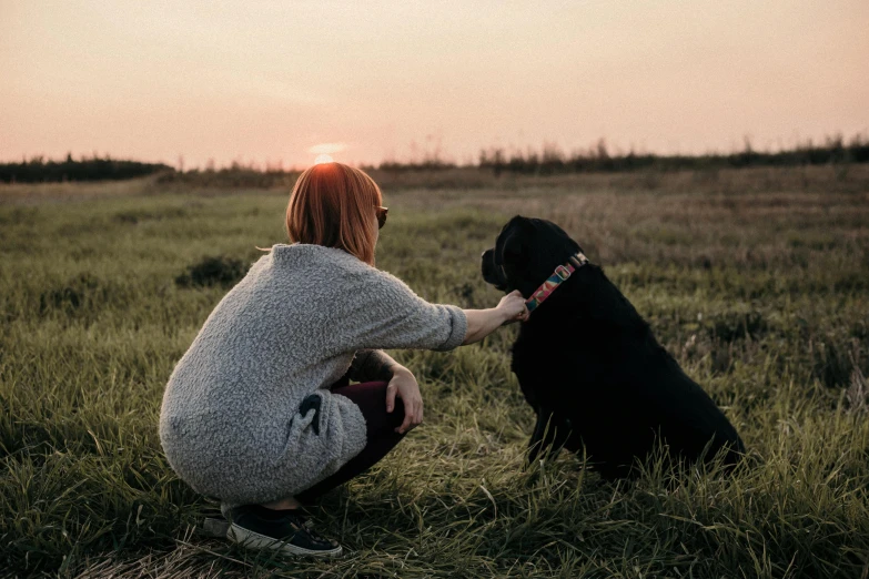 a woman kneeling down petting a dog in a grassy field