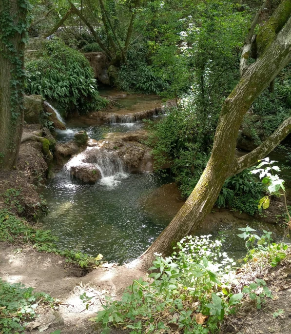 there is a small creek flowing into the river