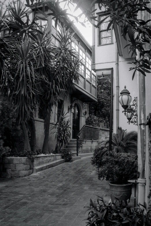 a house with several plants outside in a city