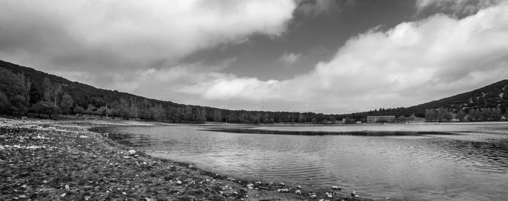 the shoreline and bank of a quiet lake