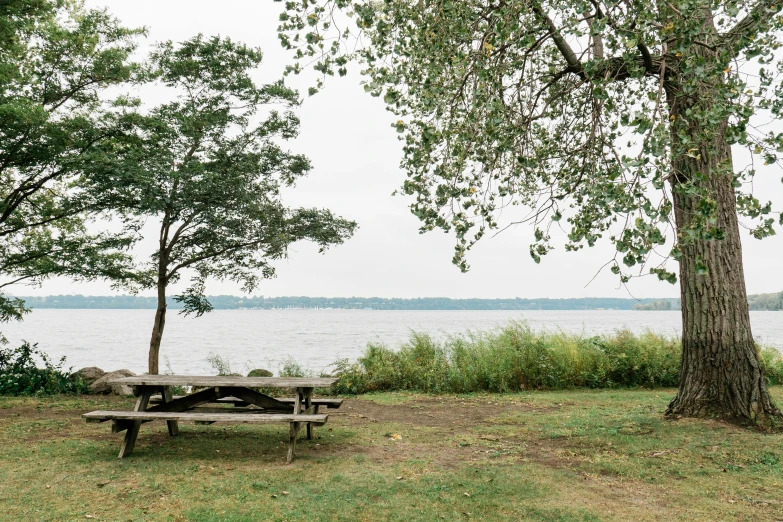 a park bench with trees by the edge of a lake