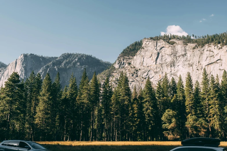 a mountain side with a forest in the background