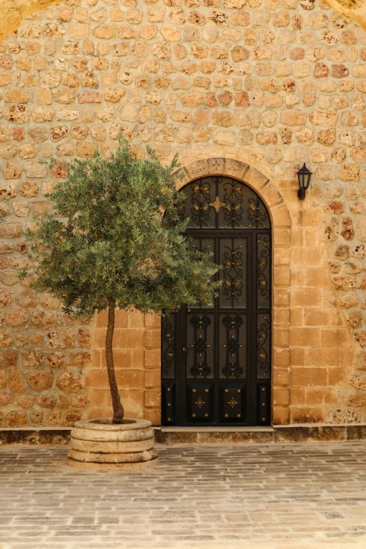 a large black door in front of a small tree