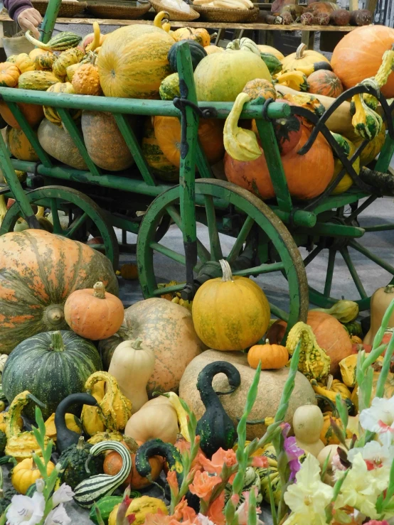 there are many pumpkins in a carriage