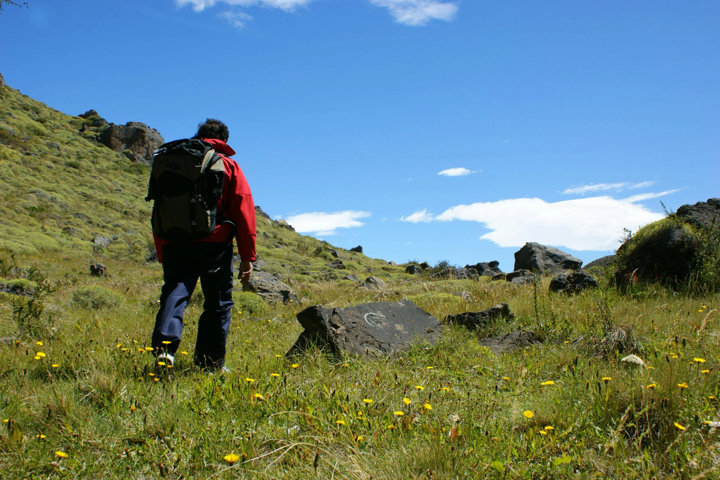 a person with backpacks on walking through grassy hill