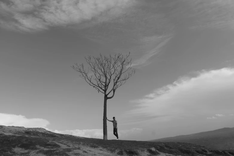 an old tree sits alone on a hill side