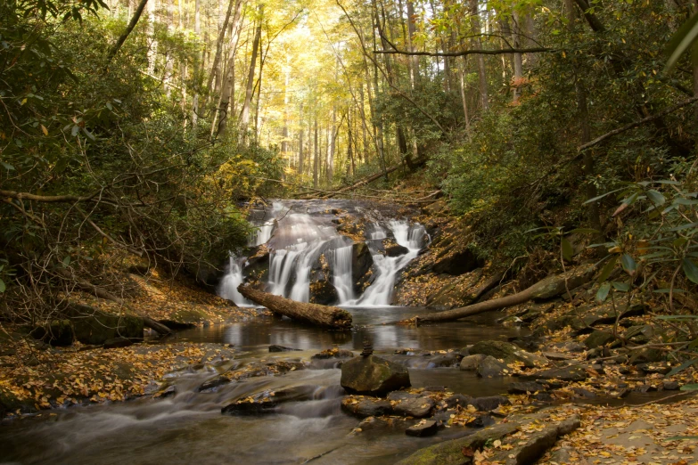 a small waterfall running through the woods in autumn